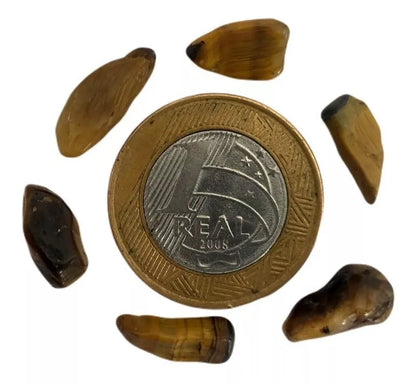 Cascalho De Pedra Olho De Tigre - 500g